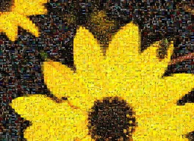 onlinemosaicojpg